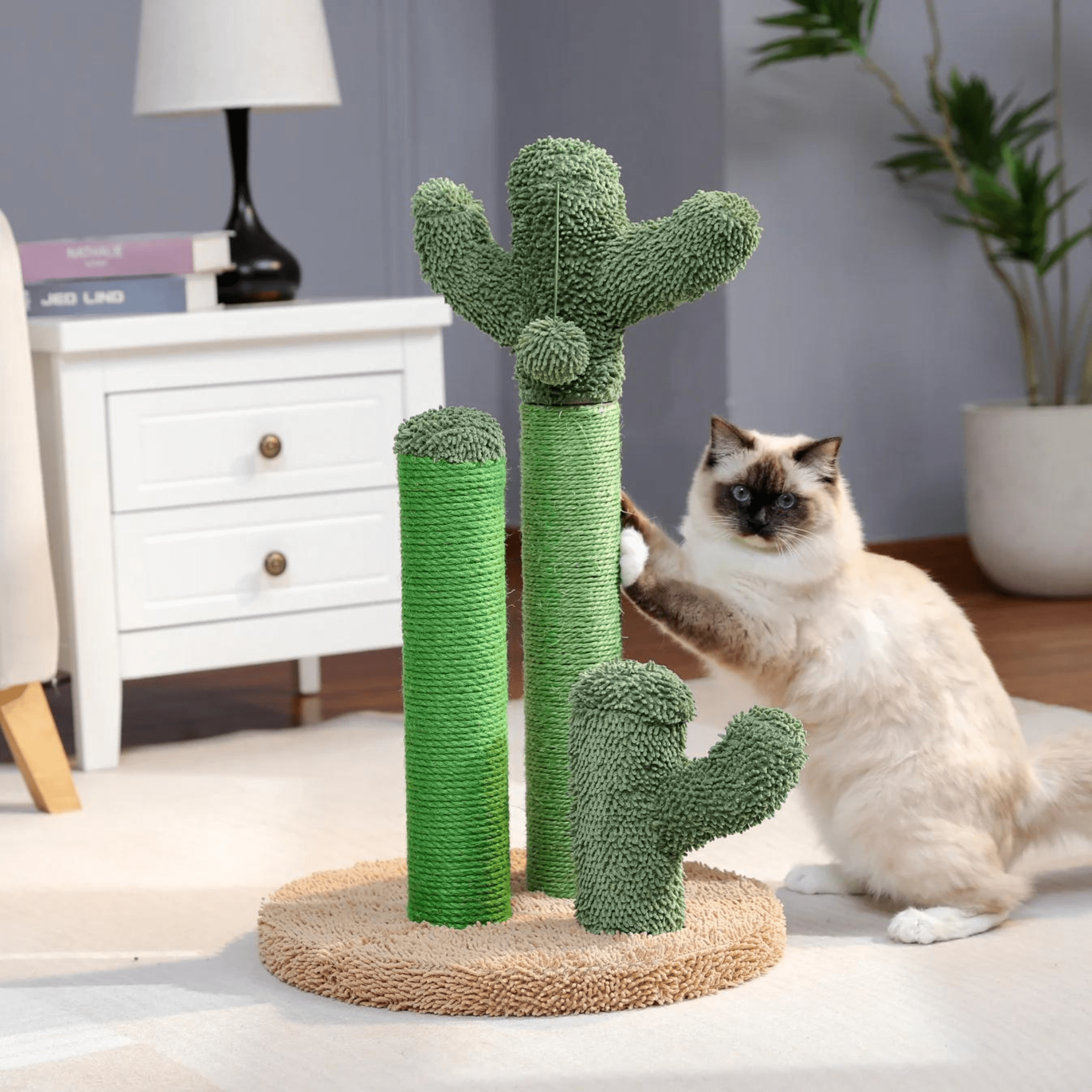 KrapCactus | Ideal für dein vierbeiniges Haustier