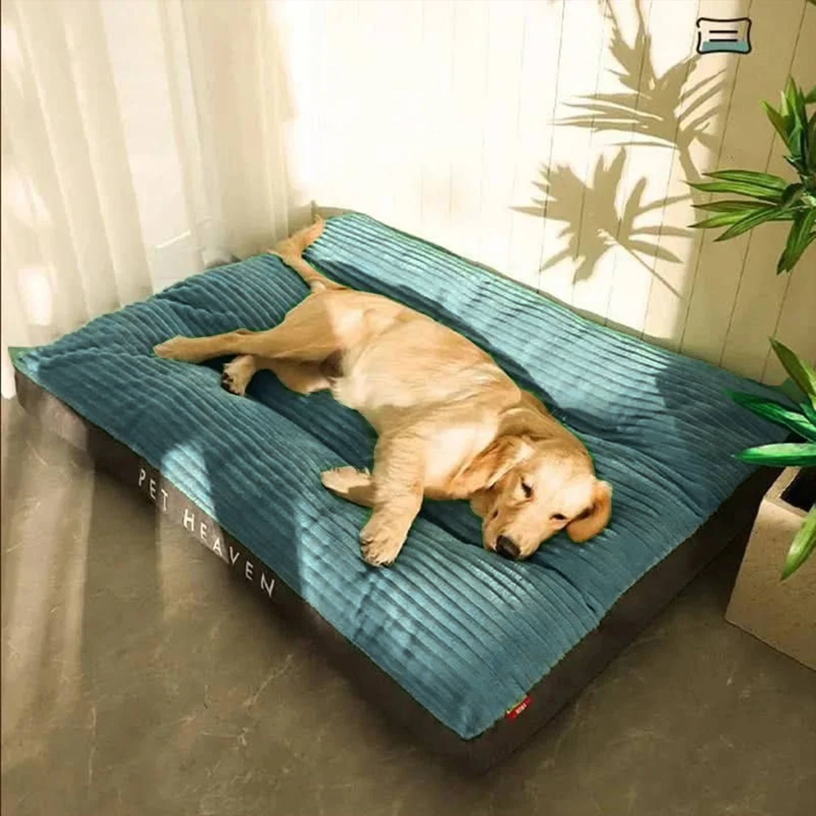 FlauschNest Orthopädisches Hundebett – Kuschelig & Stützend für erholsame Nächte