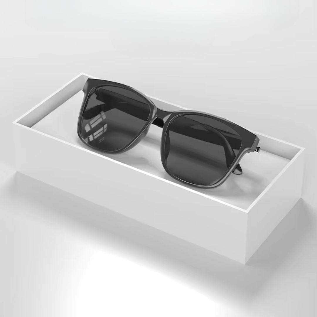 LingoVision Smarte Brille | Intelligenter Sehen, Hören und Verbinden