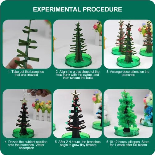 MagicGrow Weihnachtsbaum | Erlebe die Magie von Weihnachten