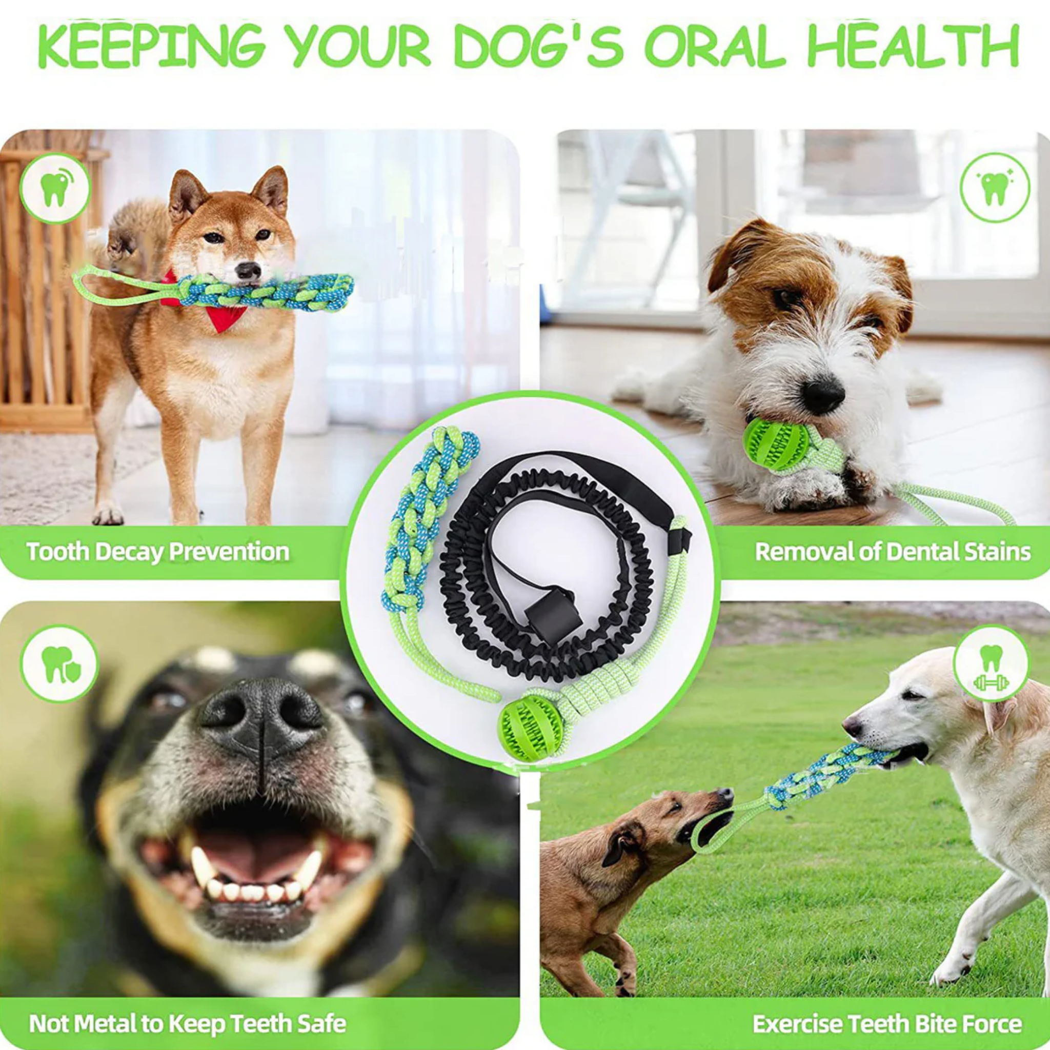 Springball Pro | unendlicher Springspaß für deinen Hund