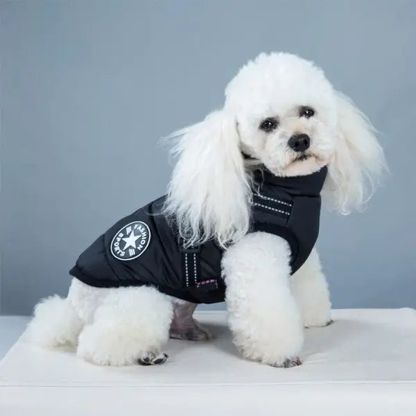 PupArmor | Winddicht & Reflektierend Hundeweste