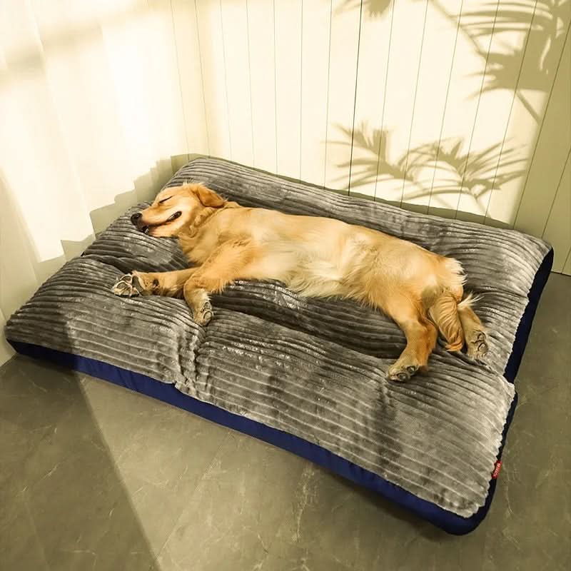 FlauschNest Orthopädisches Hundebett – Kuschelig & Stützend für erholsame Nächte