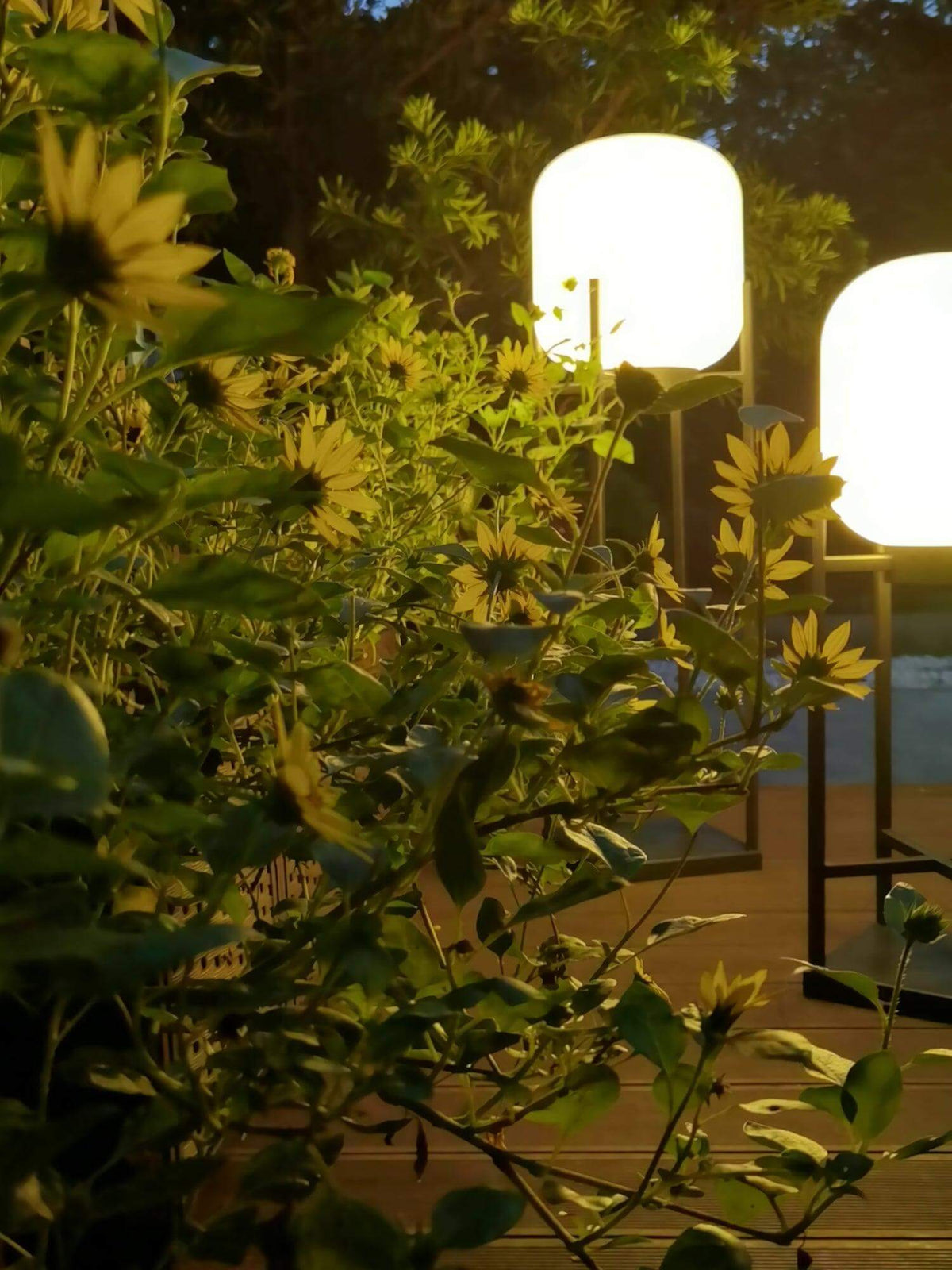Solar Stehlampe für den Außenbereich – Nachhaltige Stimmungsbeleuchtung für Garten und Terrasse