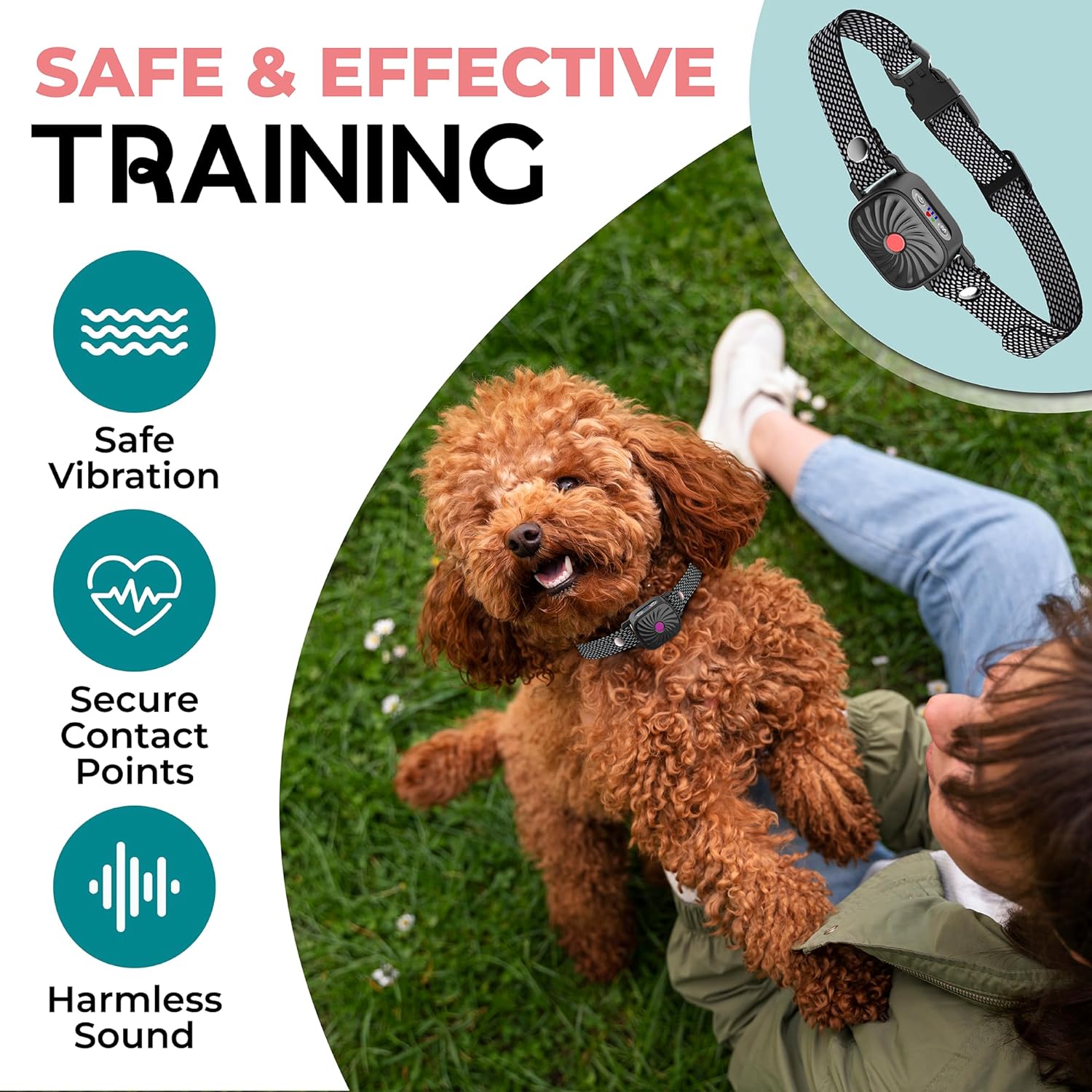 Antibellhalsband Kleine Hunde Sicherheit