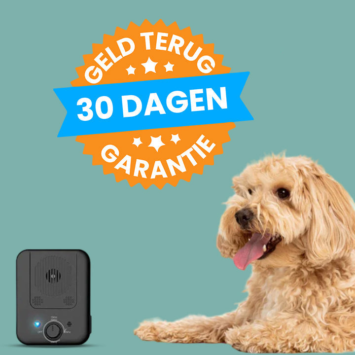 CanineElegance Schmerzfreies Anti-Bellgerät | Effektives Bellpräventionssystem für eine harmonische Umgebung