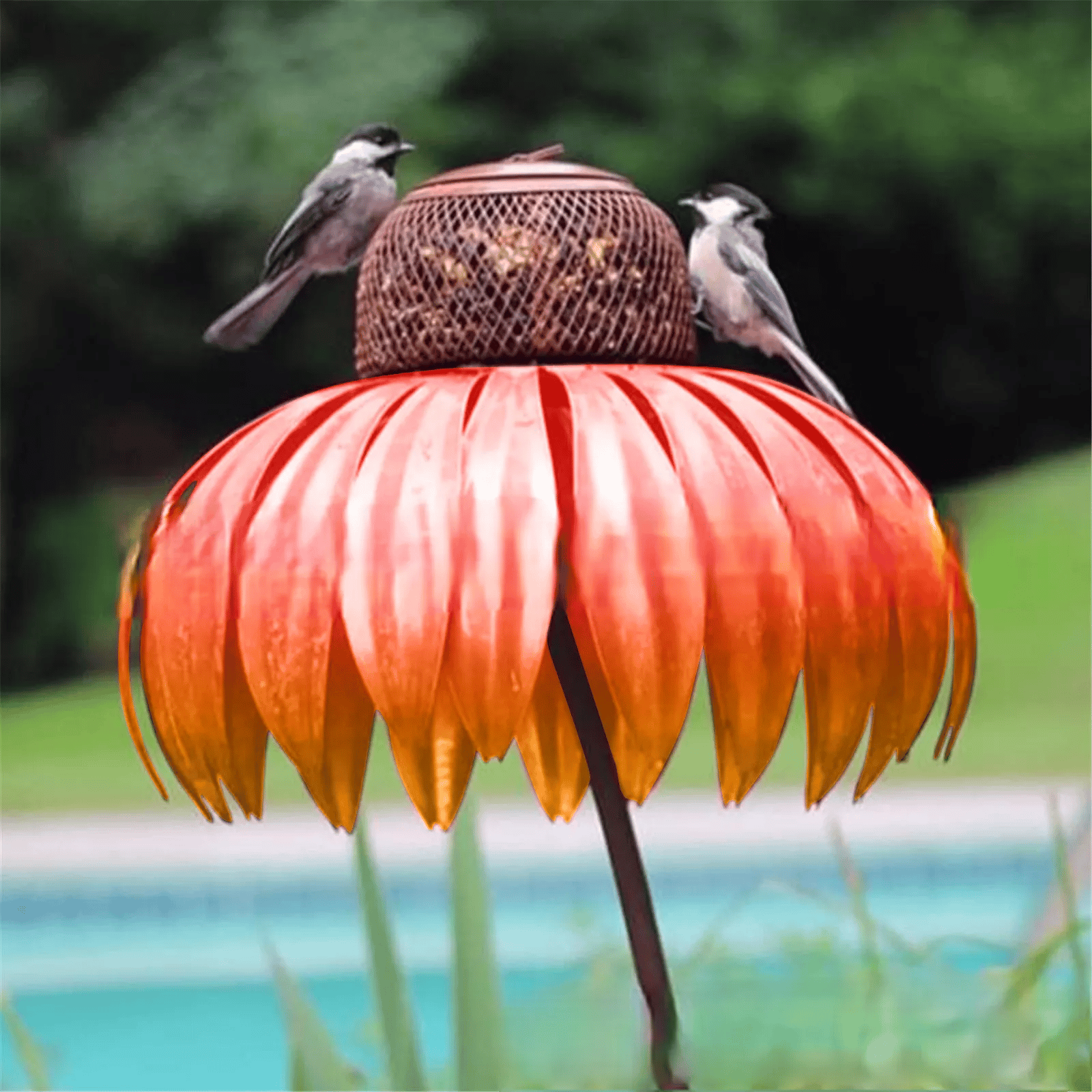 FloraNest Vogelhaus | Genießen Sie kostenlose Kegelblumen für einen bunten Garten