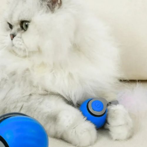 PurrPlay Interaktive Rollende Kugel | Schlauer Spaß für Ihre pelzigen Freunde