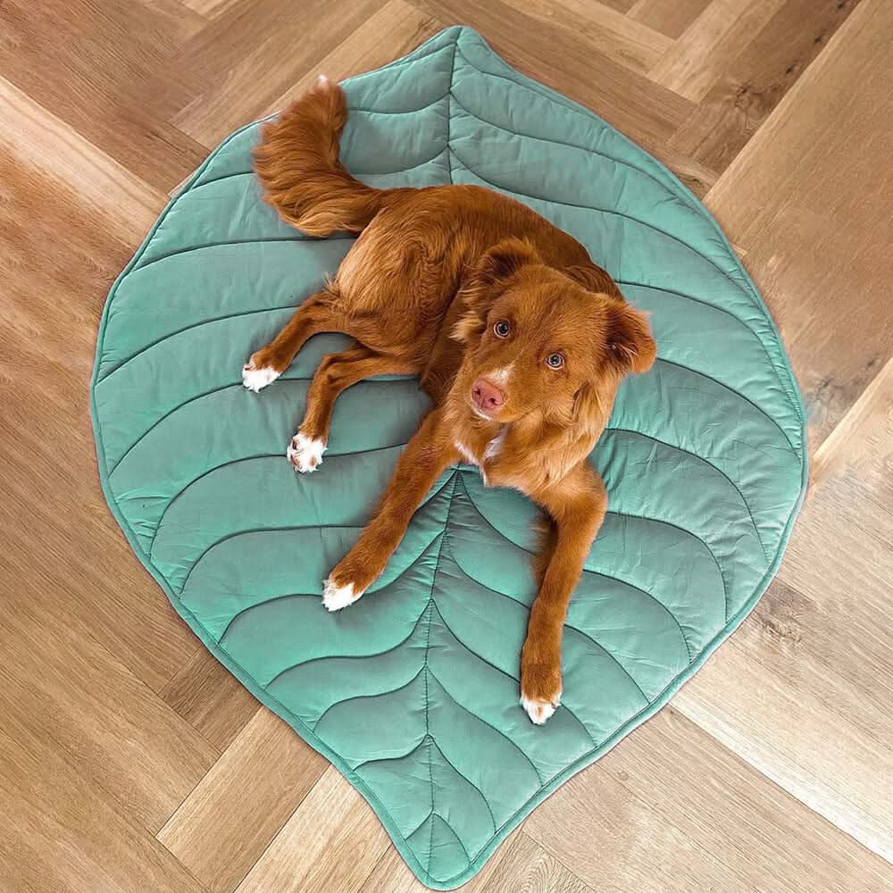 BladNest Hundedecke – Komfortable Blattformige Decke aus Baumwolle und Polyester