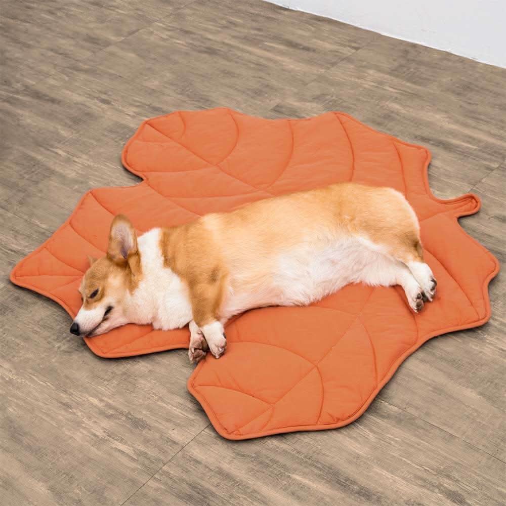 BladNest Hundedecke – Komfortable Blattformige Decke aus Baumwolle und Polyester