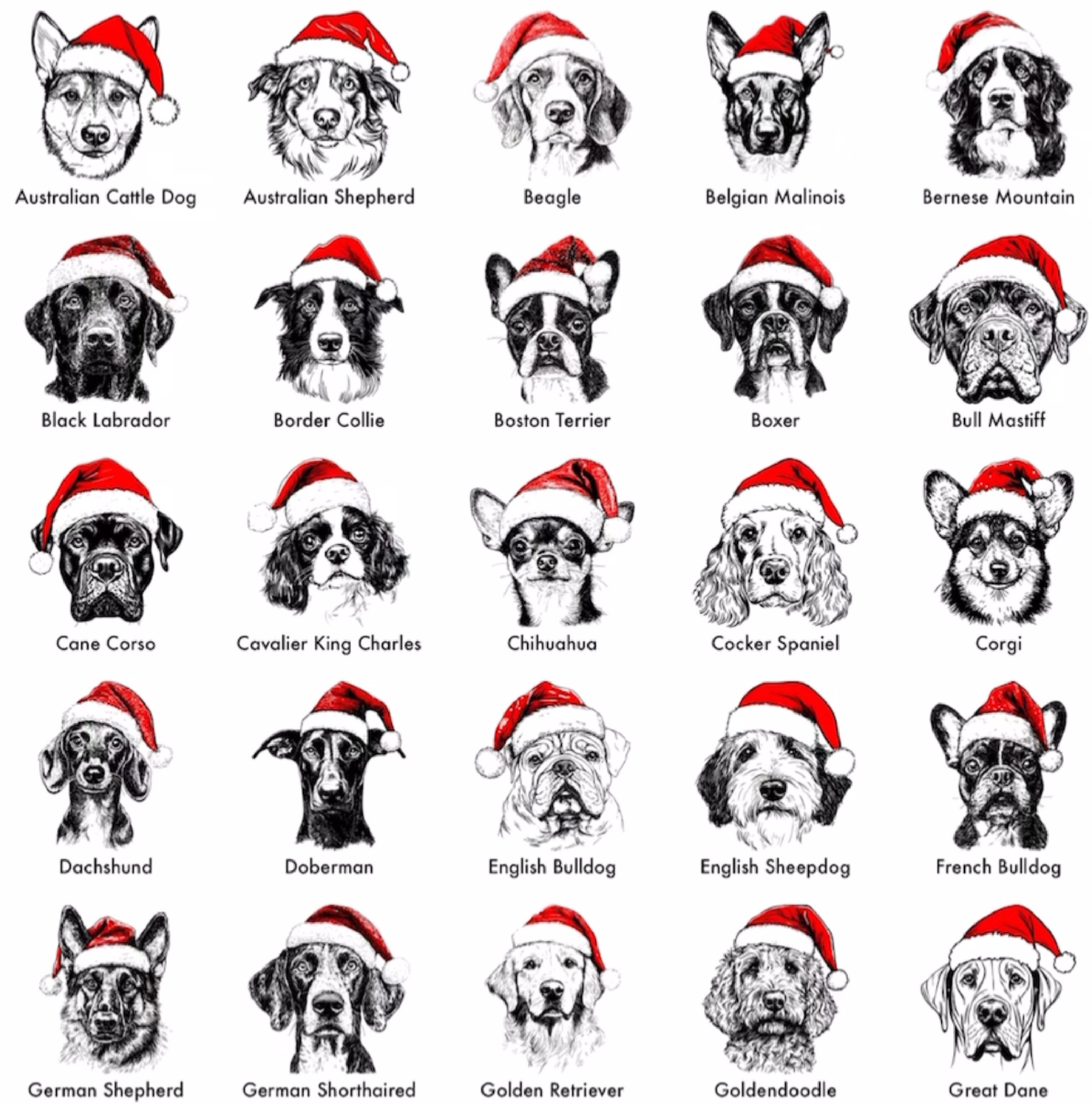 Santa Paws - Weihnachts-Hundepullover