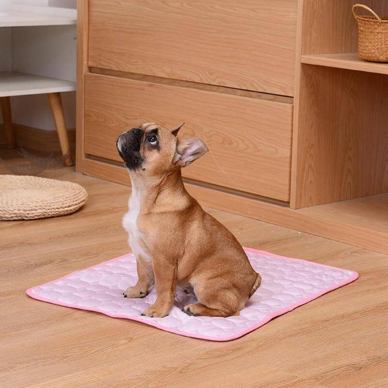 CoolPaw Kühlmatte | Wärmeabsorbierende Matte für entspannte Haustiere