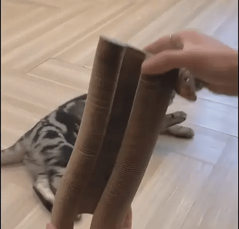 KatzenFreude Kratzbaum | Der perfekte Spiel- und Kratzplatz für jede Katze