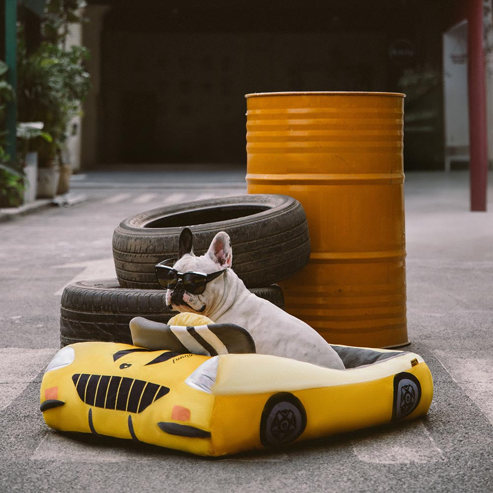 FurElegance Klassisches Umwandelbares Rennwagenbett | Luxuriöses Bolster-Hundebett für stilvollen Komfort und Unterstützung