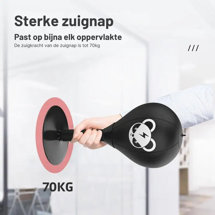 PowerGrip Boxball | Hochleistungs-Saugnapf für bis zu 70KG