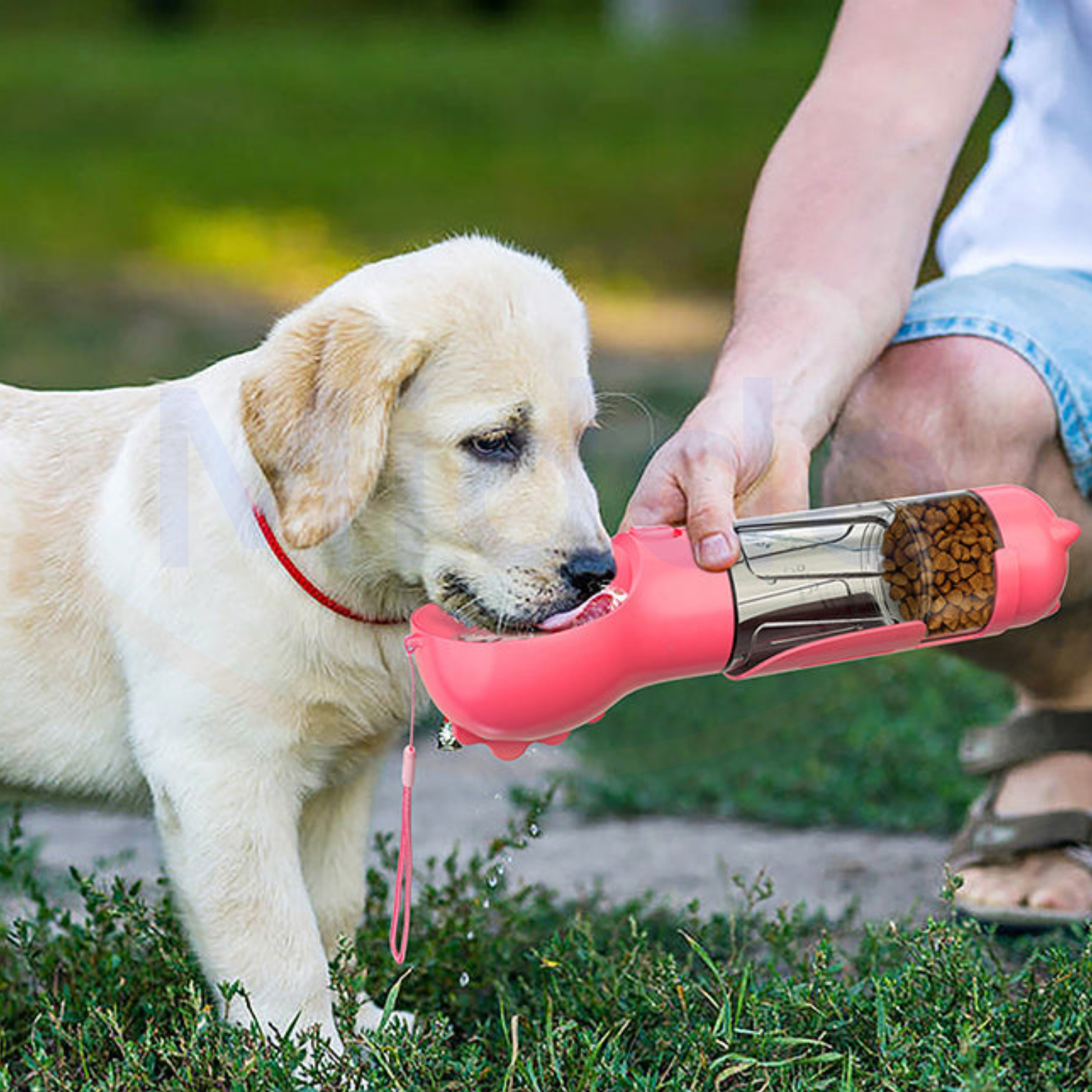 FurryHydrate Wasserflasche | Die 5-in-1 Lösung für deinen Hund!