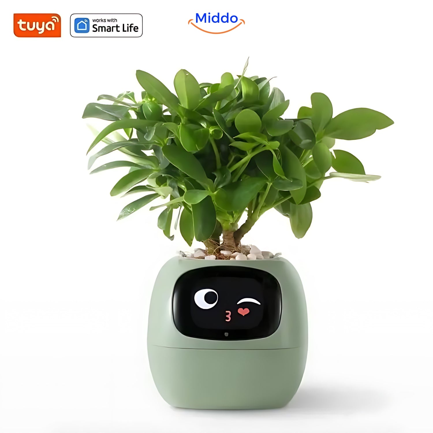 IvyCare Automatischer Blumentopf | Intelligente Pflanzenpflege für glückliche Pflanzen