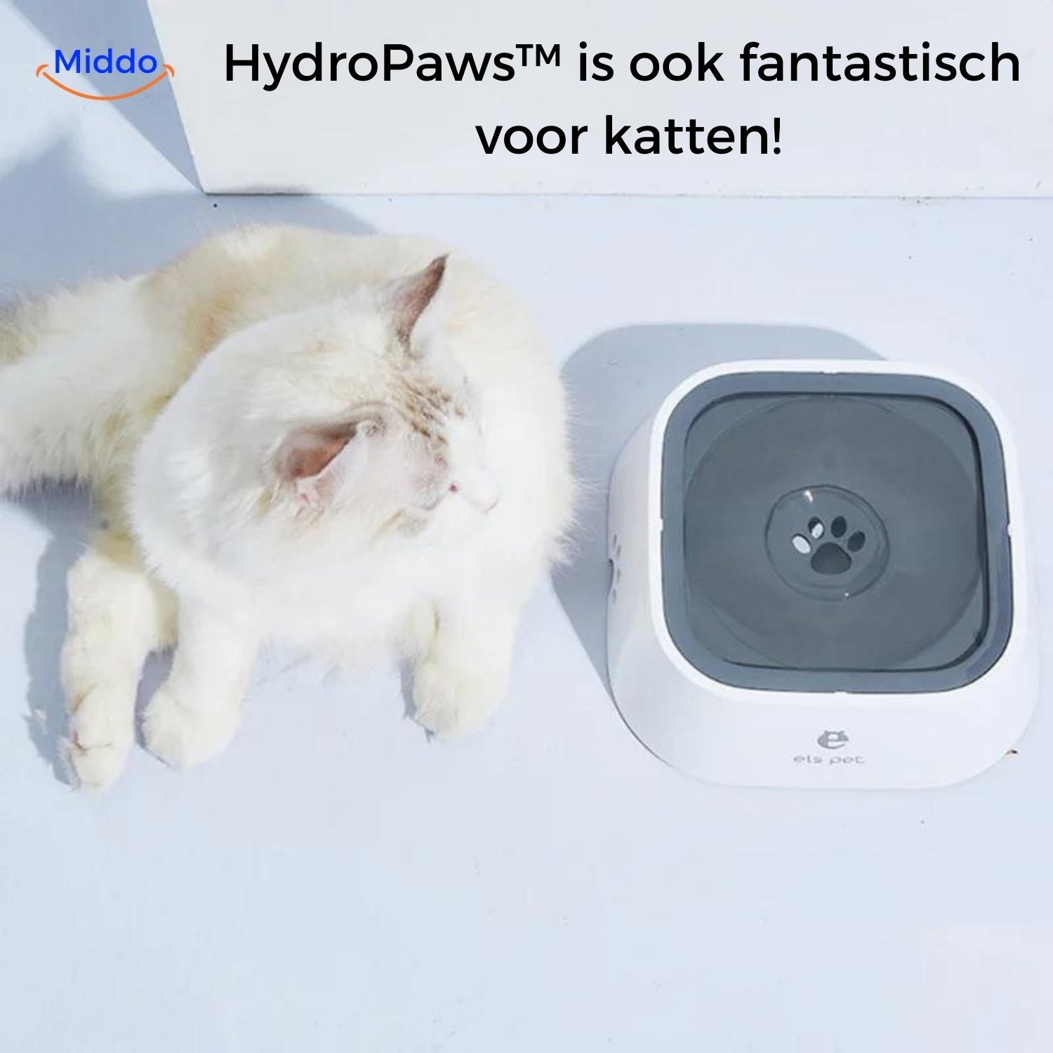 PawGuard Anti-Spritz Napf | Rutschfester Trinknapf für sicheres Trinken ohne Ausrutscher