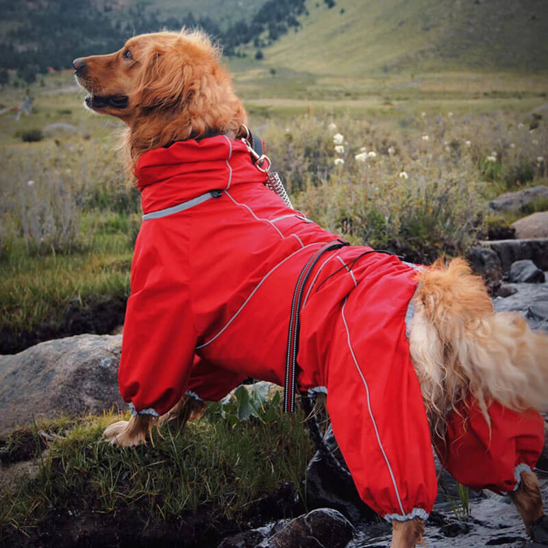Wasserdichte Hunde-Regenjacke – Verstellbare Outdoor-Jacke für Hunde