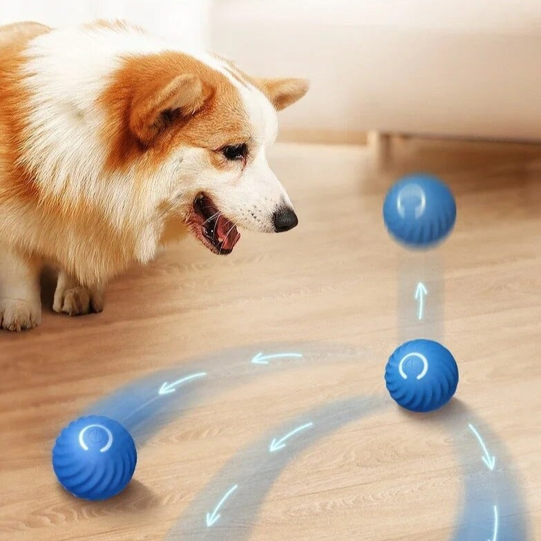 Happyl bal | Unendlicher Spielspaß für deinen tierischen Freund!