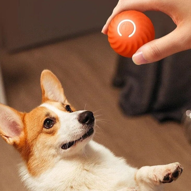 Happyl bal | Unendlicher Spielspaß für deinen tierischen Freund!