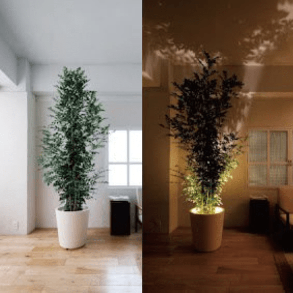 Viva - Projektorlampe