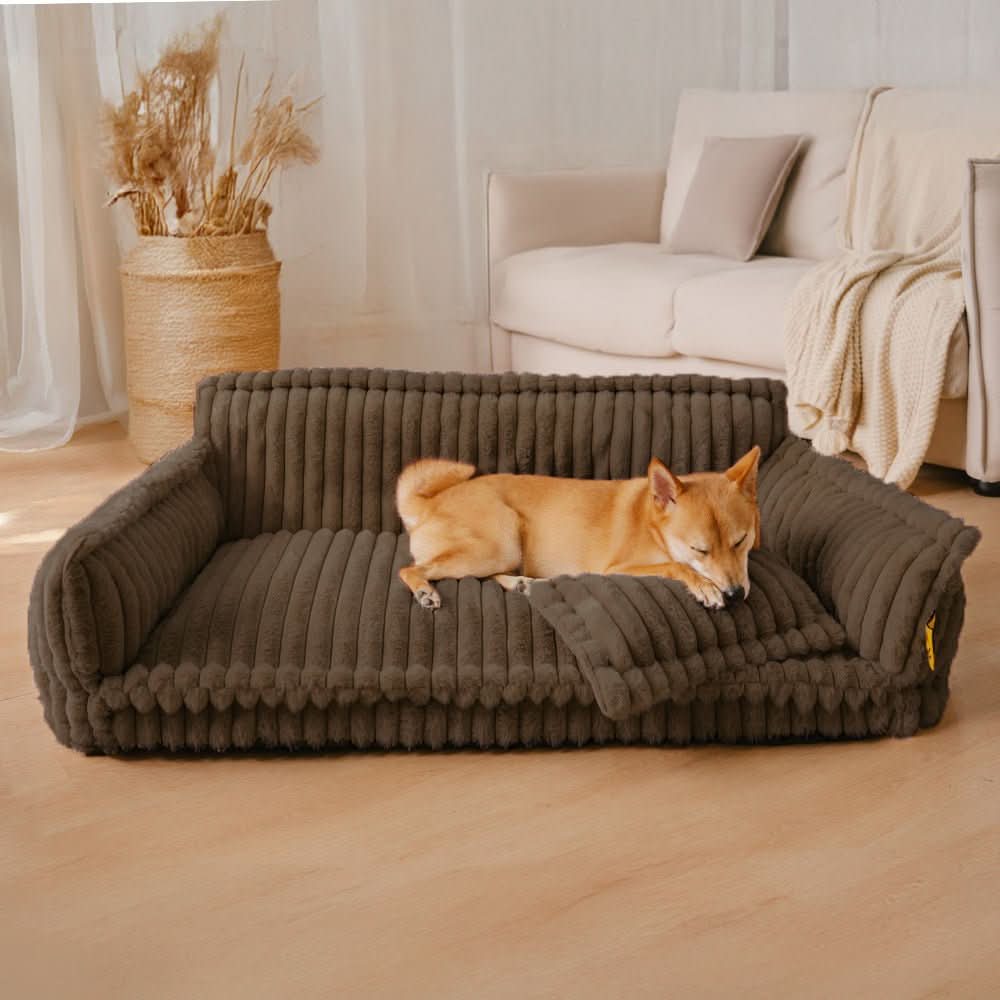 DroomPoot Orthopädisches Hundebett – Robuste Liegefläche mit Nackenstütze und Abnehmbarem Bezug