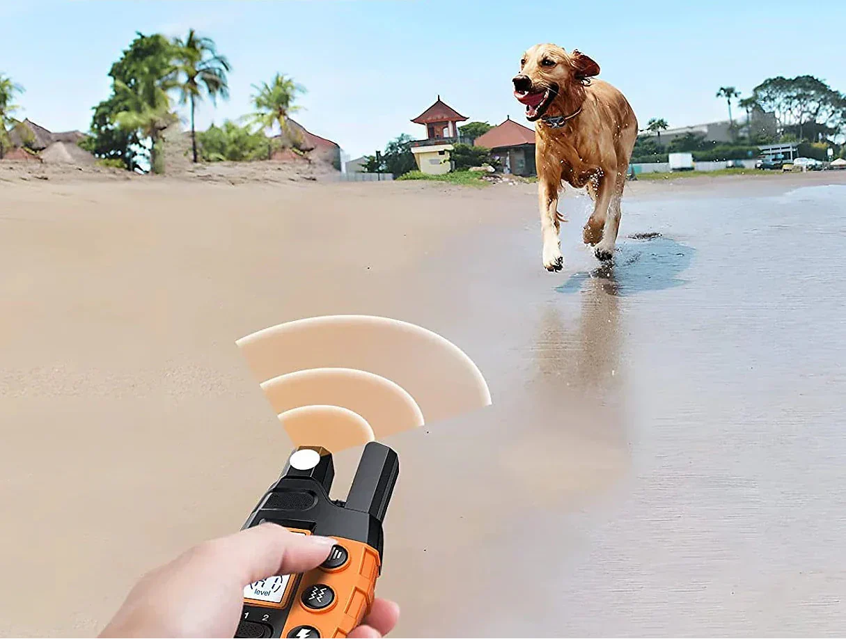 Premium 1000m Hundetraining Halsband mit Fernbedienung - Wasserdicht, Wiederaufladbares E-Halsband für alle Hund größen