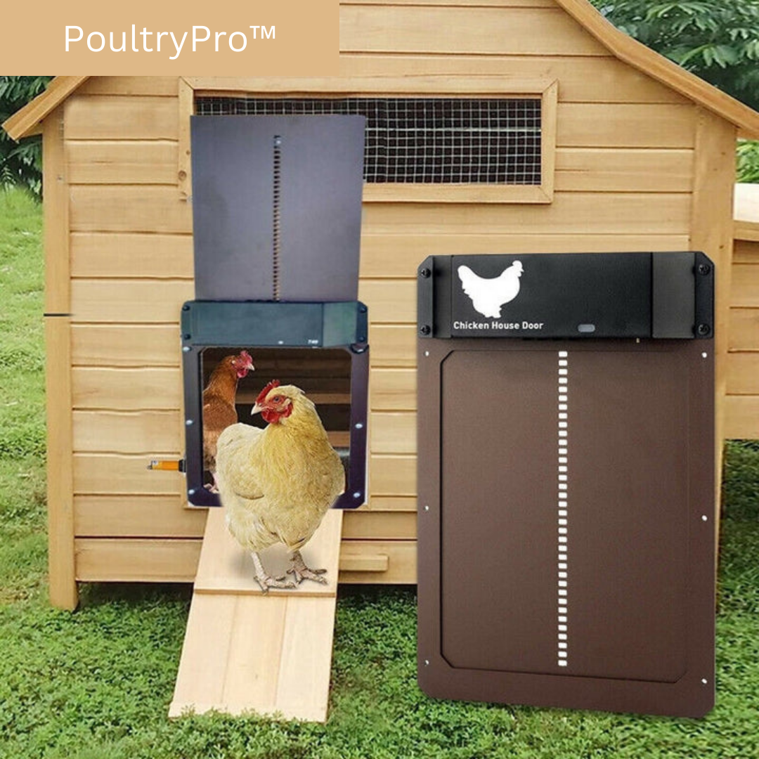 PoultryPro | Stellen Sie sicher, dass Ihre Hühner sicher untergebracht sind