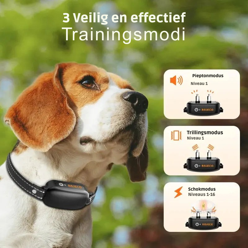 ProTrain – Wiederaufladbares wasserdichtes Hundetrainingshalsband