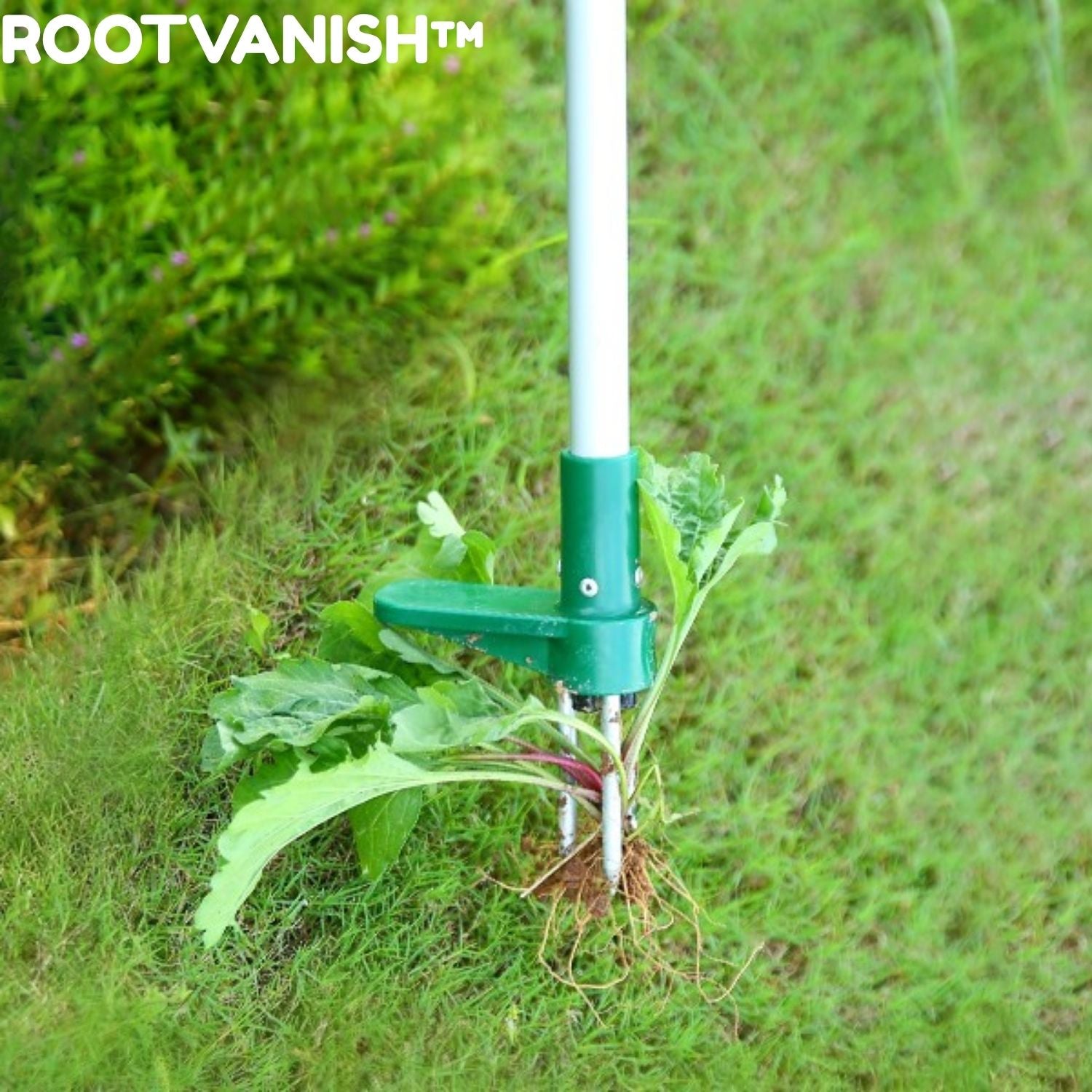 RootVanish™ Stehender Pflanzen-Wurzelentferner für effektive Wurzelentfernung