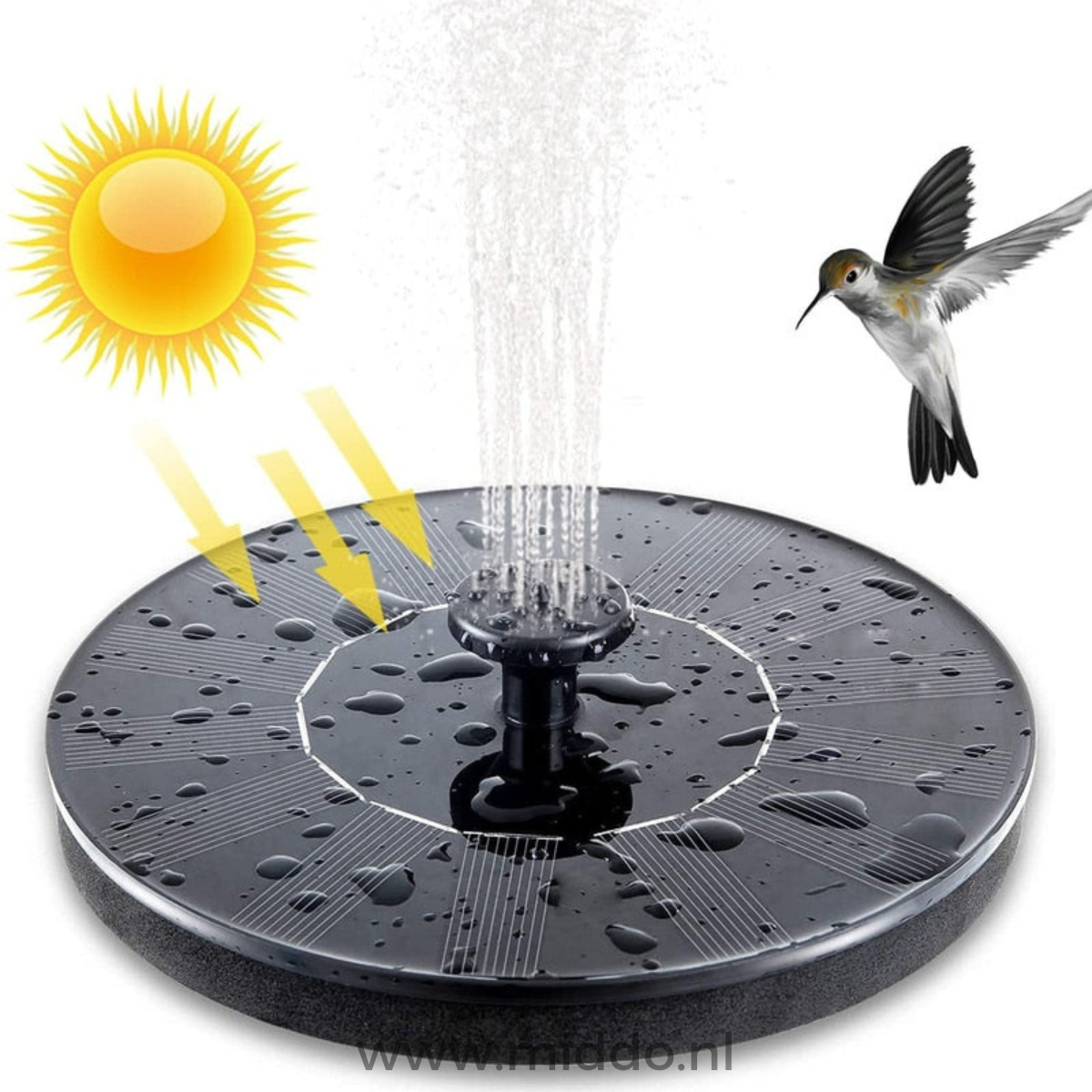 EcoFlow Solarbrunnen | Umweltfreundlicher Brunnen für Teiche und Becken mit nachhaltiger Energieversorgung