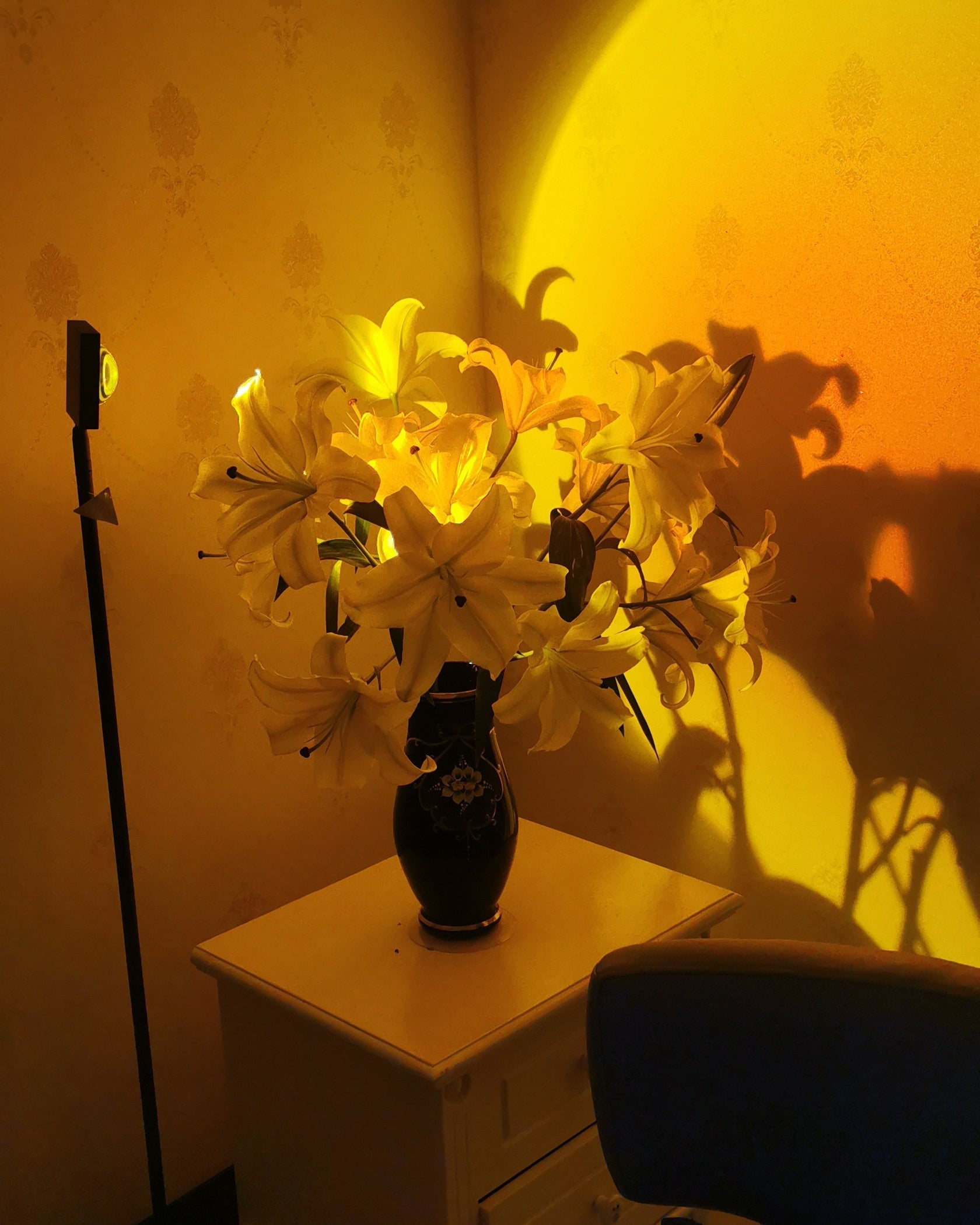 Frendorf | LED Farbprojektor Stehleuchte | Minimalistischer Halo Licht Effekt