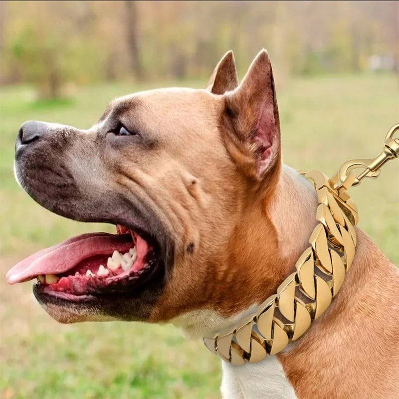 KrachtHals Metall Hundehalsband – Robuste Edelstahl Halsband für große Hunde