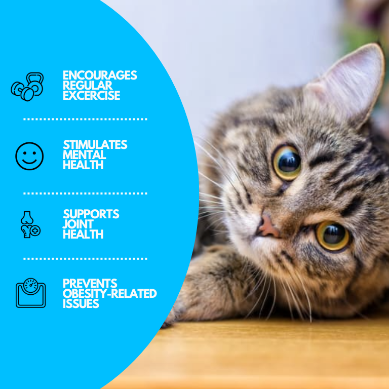 PurrSplash Spielmatte | Ultimativer Wasserspaß für Katzen