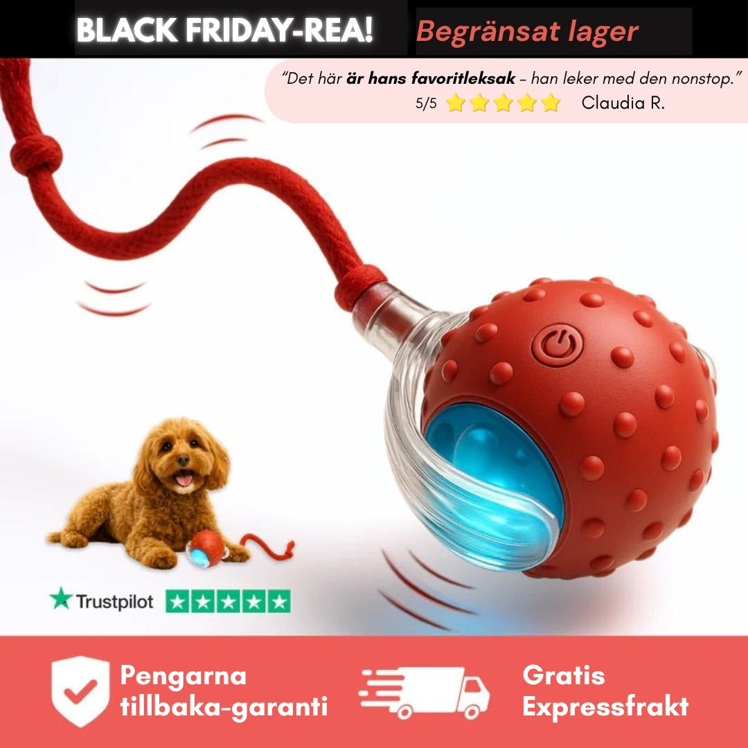 PawTail | Speedy Tail Hundejacke Leicht Wasserfest Atmungsaktiv