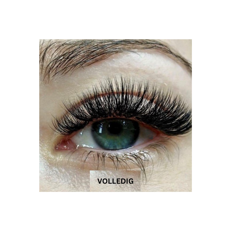 MagnetLash Wimpern | Magische Wimpern ohne Kleber