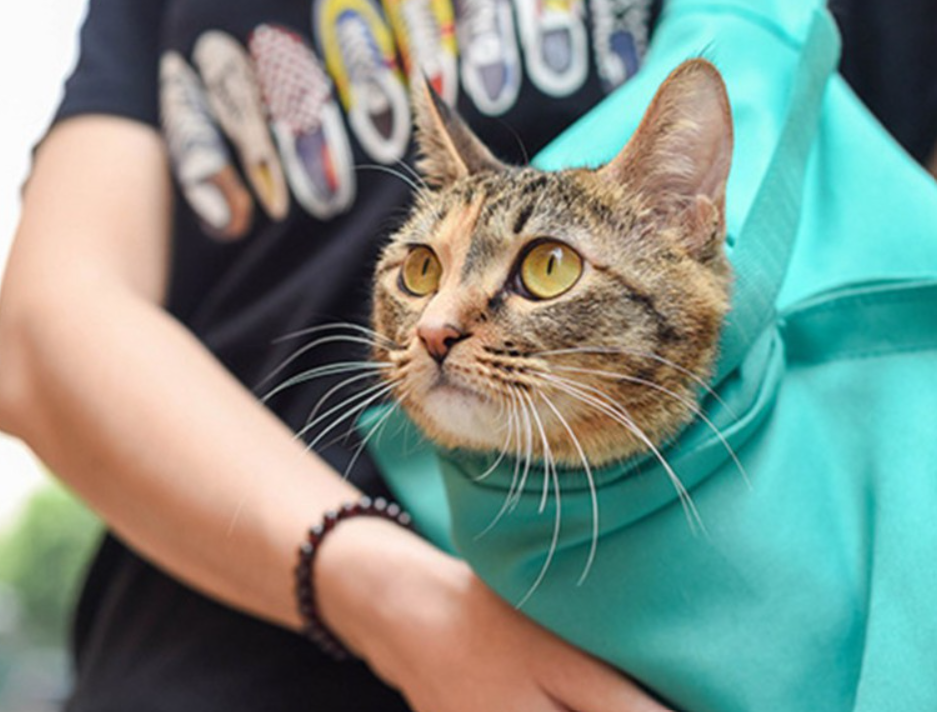 PurrfectTravel | Pflege- und Reisetasche