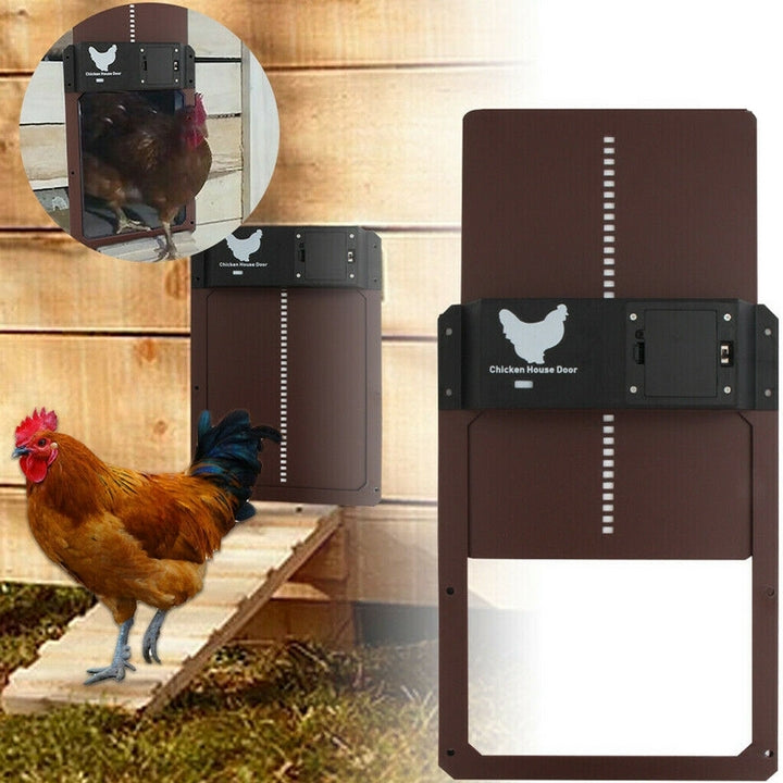 PoultryPro | Stellen Sie sicher, dass Ihre Hühner sicher untergebracht sind