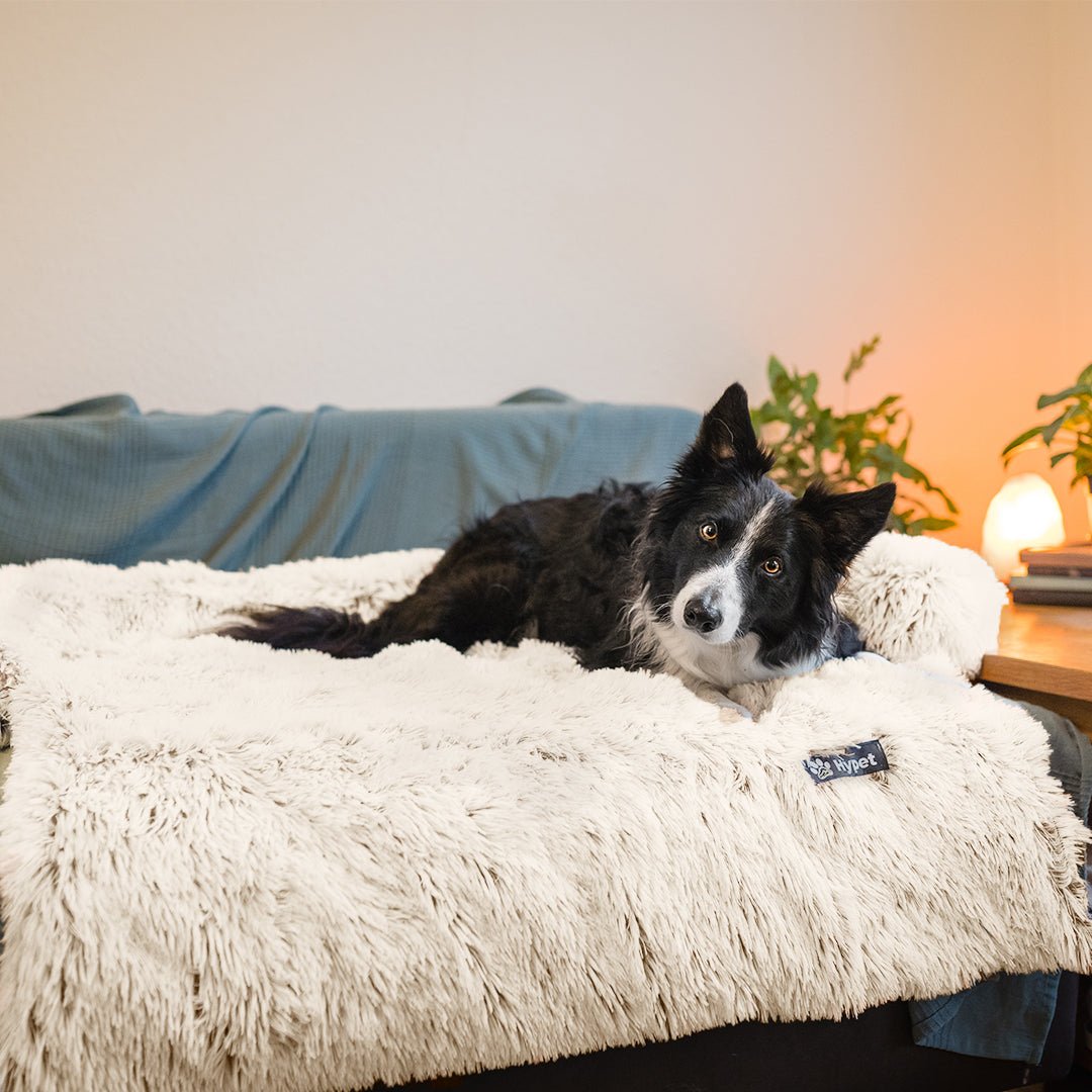 PawsyPillow | Waschbares, warmes und wasserdichtes Herbstkissen für deinen Hund