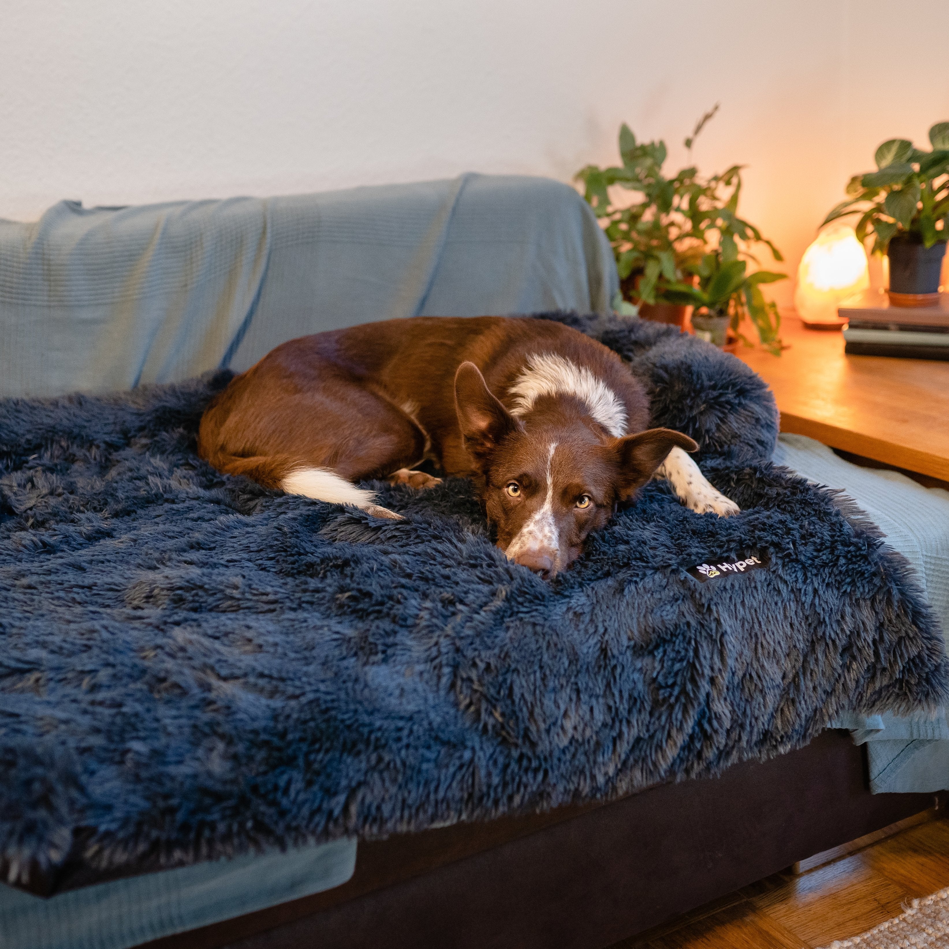 PawsyPillow | Waschbares, warmes und wasserdichtes Herbstkissen für deinen Hund