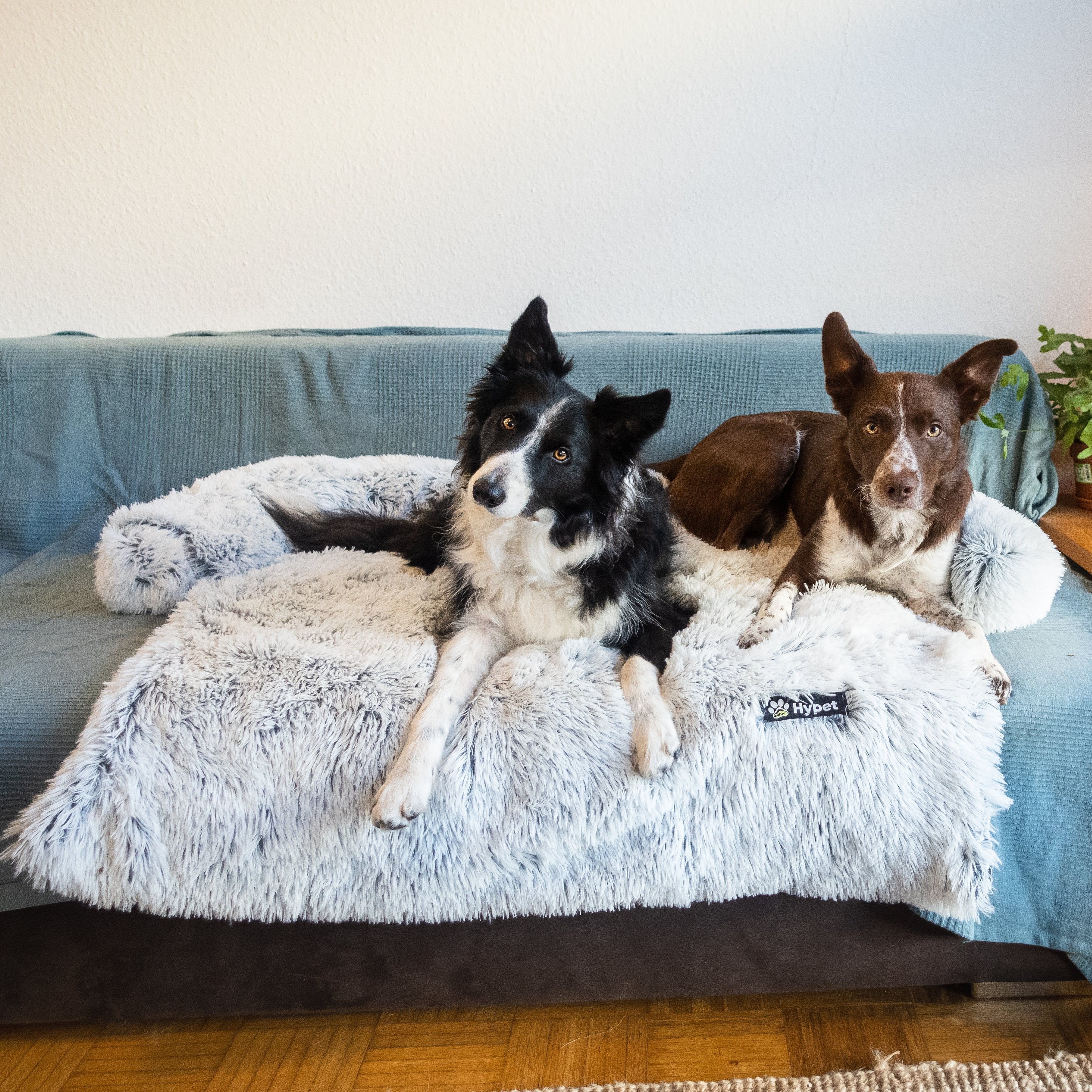PawsyPillow | Waschbares, warmes und wasserdichtes Herbstkissen für deinen Hund