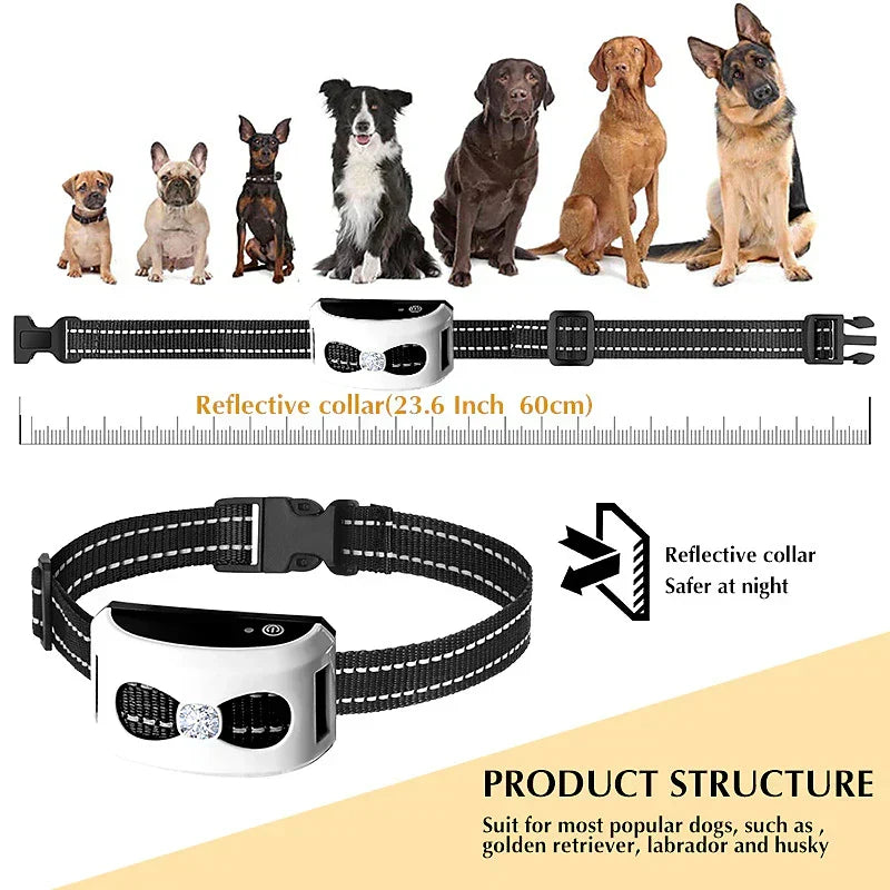 Drahtloses Zaunsystem & Trainingshalsband 2-in-1 - Wasserdicht & Wiederaufladbar