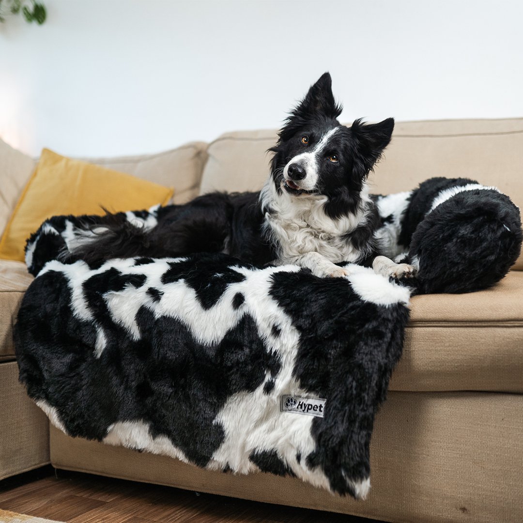 PawsyPillow | Waschbares, warmes und wasserdichtes Herbstkissen für deinen Hund