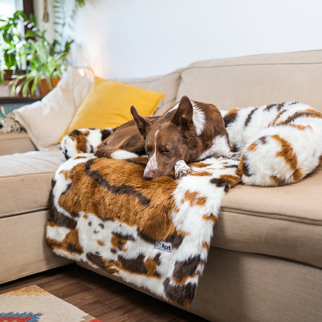 PawsyPillow | Waschbares, warmes und wasserdichtes Herbstkissen für deinen Hund