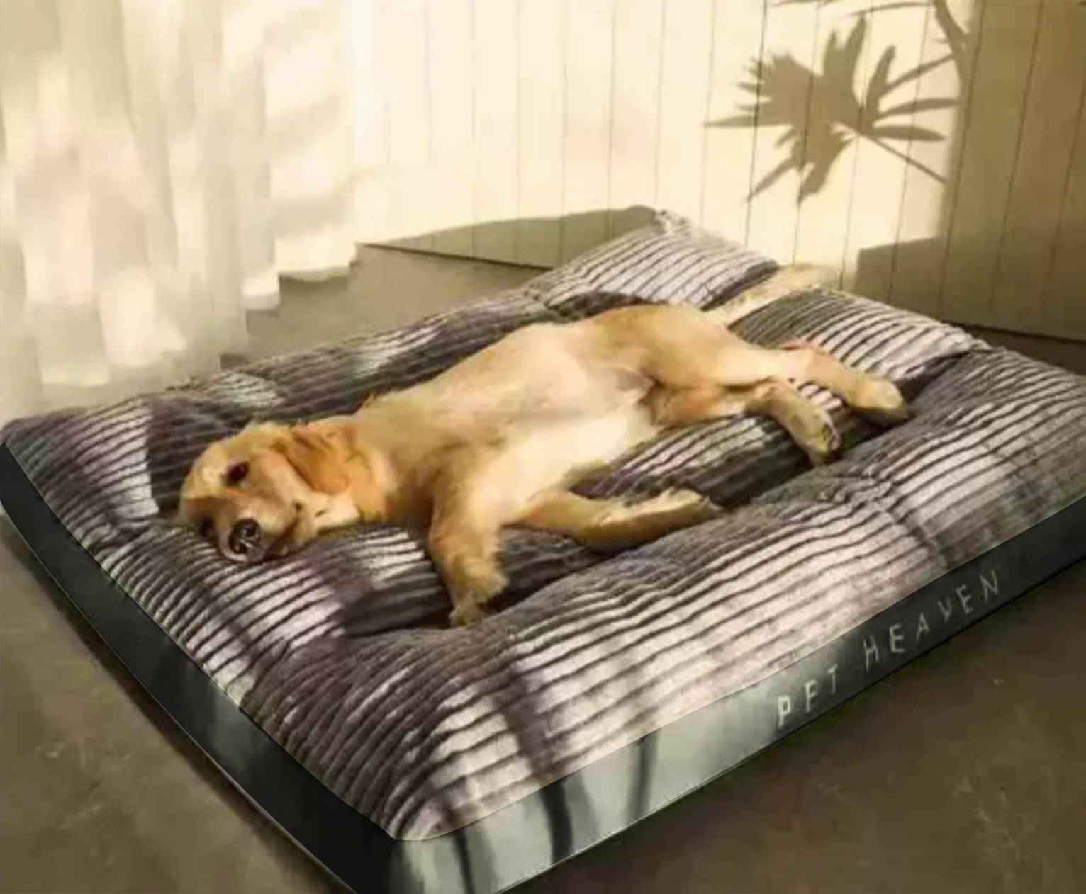 FlauschNest Orthopädisches Hundebett – Kuschelig & Stützend für erholsame Nächte