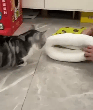 KatzenNest Komfortbett | Warm, gemütlich und sicher für glückliche Katzen!