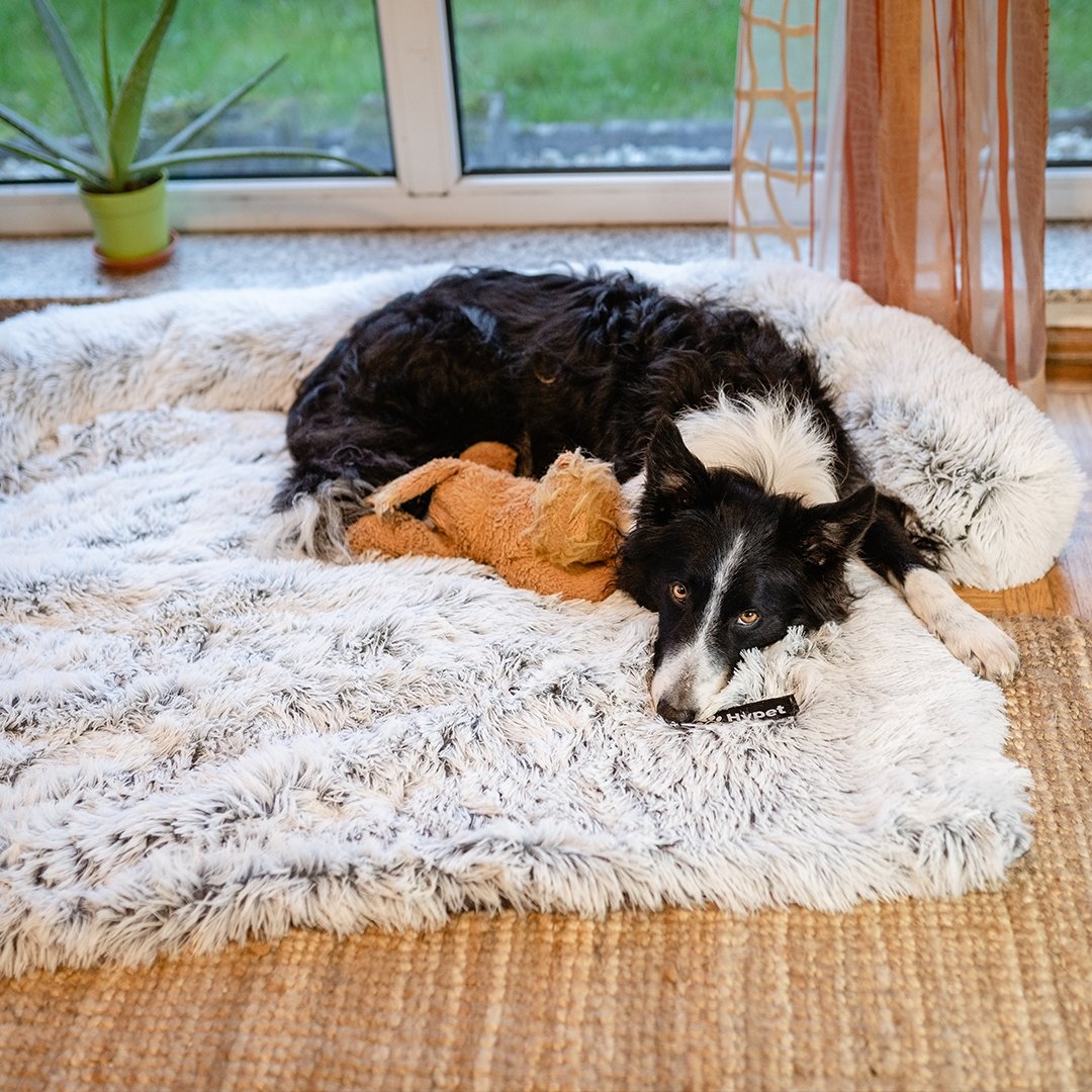 PawsyPillow | Waschbares, warmes und wasserdichtes Herbstkissen für deinen Hund