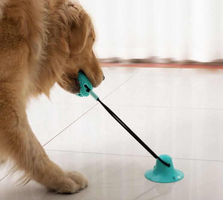 LuxePaw TugToy | Stärkt die Bindung zwischen dir und deinem Haustier