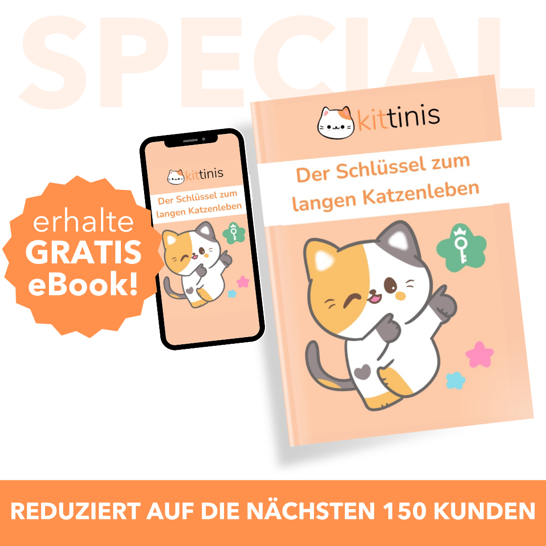 CozyWarm Pad | Strahlt Wärme für deinen pelzigen Freund aus